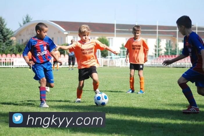 App Interface Preview