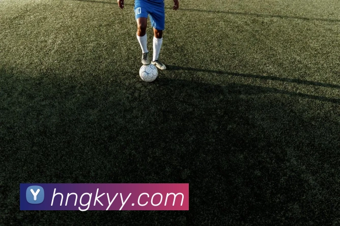 开云appAPP 封面图